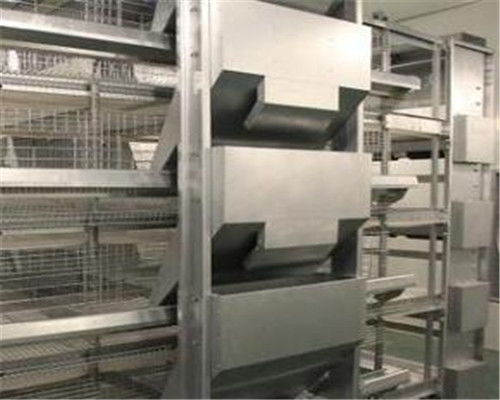 專業階梯式養雞設備生產廠 以品質鑄造與除塵技術引領現代化養殖